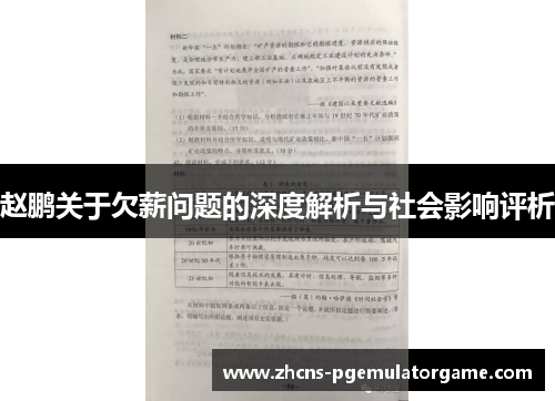 赵鹏关于欠薪问题的深度解析与社会影响评析